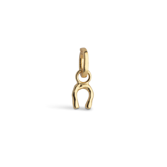 Lucky horseshoe charm
